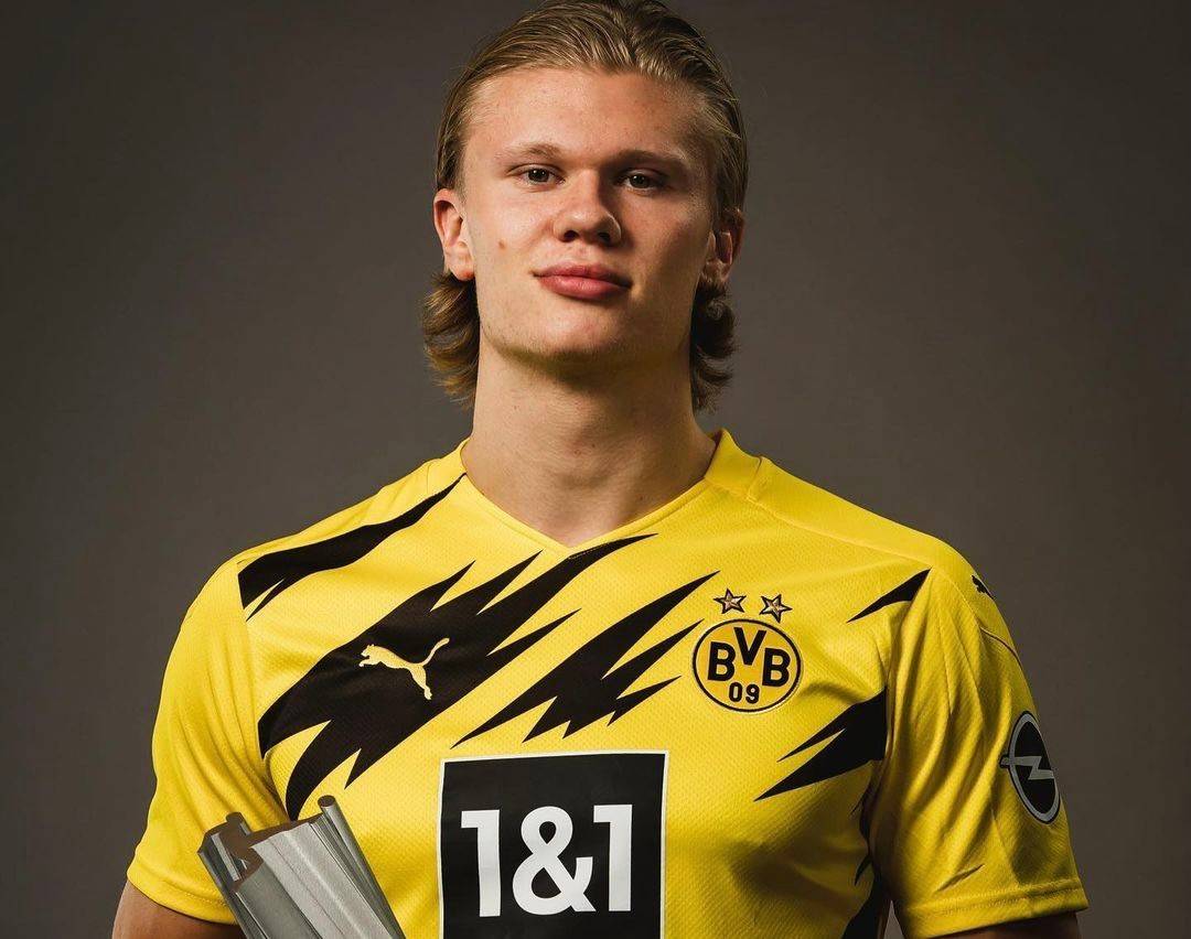 轻度玩法 轻度玩法