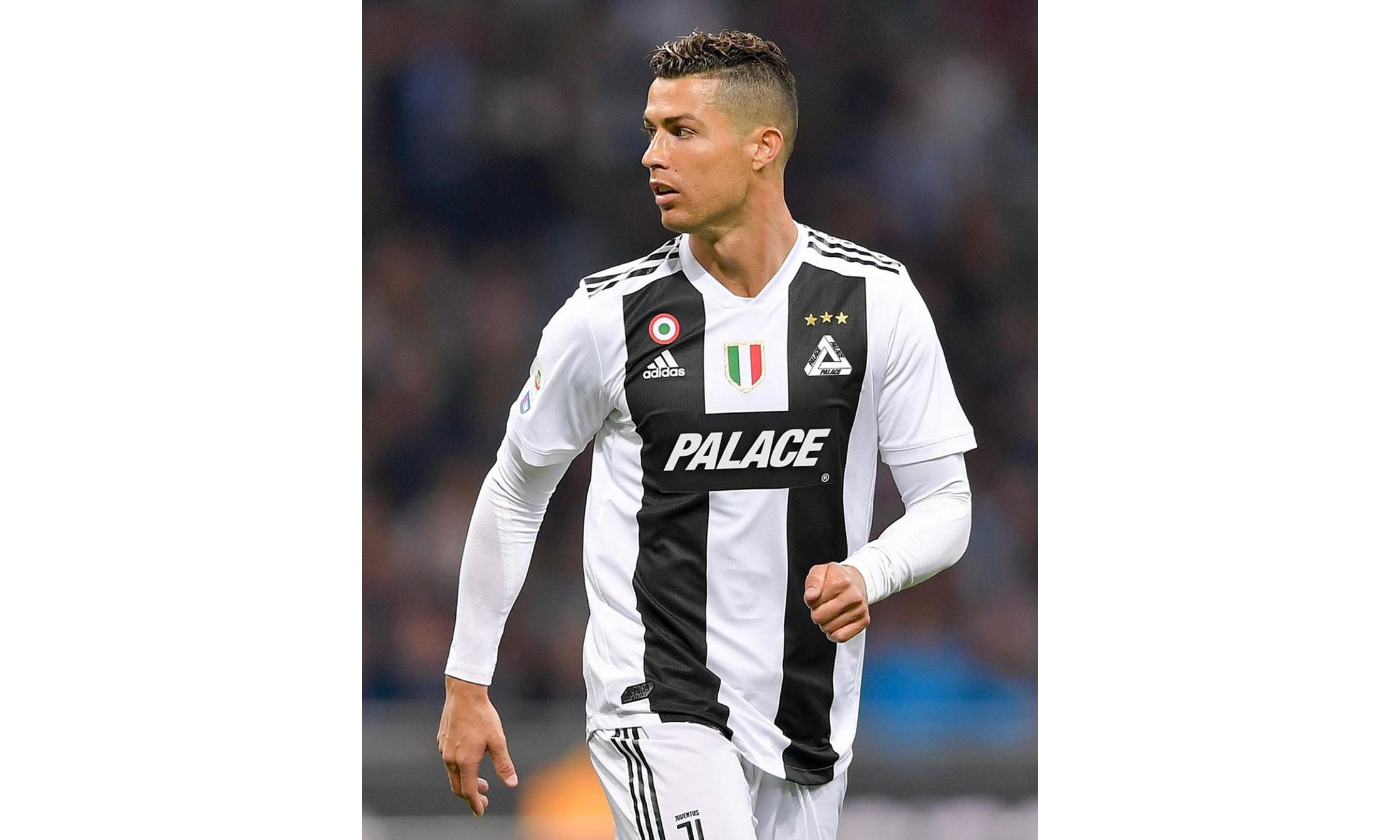 复活甲提供 复活甲提供