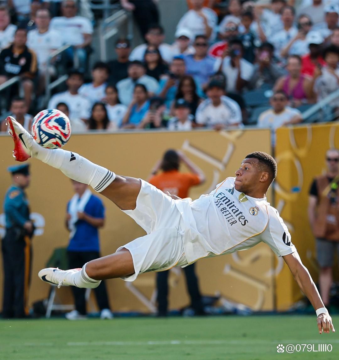 非法掩护 非法掩护